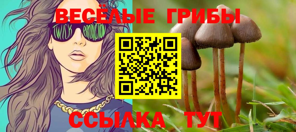 Псилоцибиновые грибы ЛСД Ивантеевка