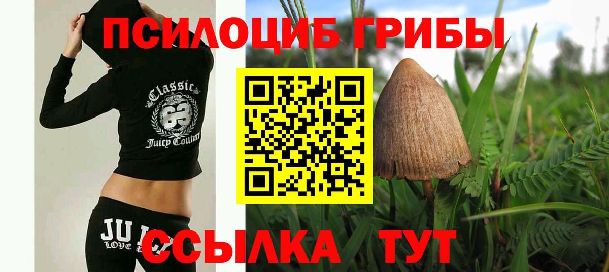 Ивантеевка  Псилоцибиновые грибы Psilocybine cubensis  Псилоцибиновые грибы Magic Shrooms  Вход с VPN 